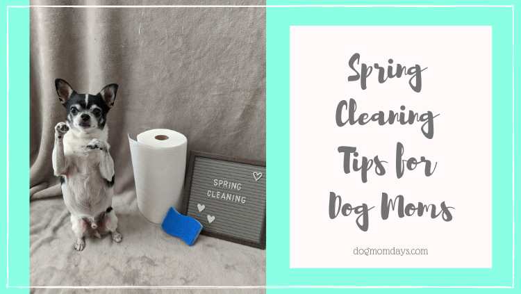 spring cleaning tips for dog moms