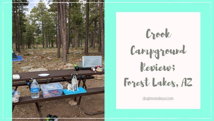 Crook Campground Review