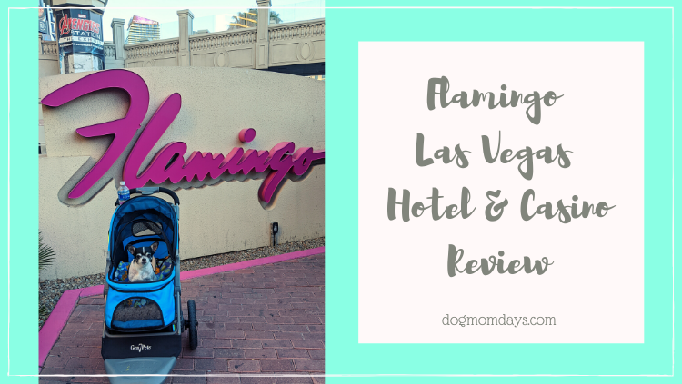 Flamingo Las Vegas Review