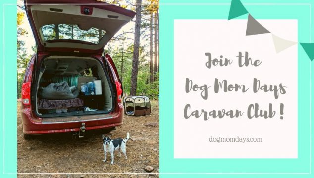 Dog Mom Days Caravan Club
